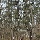 몽산포항 이미지