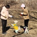 홍 순호 - 애견과 산책 - 샛강생태공원 이미지