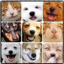 탑연세치과병원 이미지