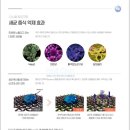 헤이클린 이미지