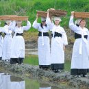 초록지기마을 이미지