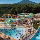 스플라스리솜 이미지