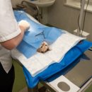 바른본외과의원 이미지