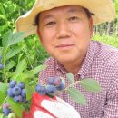 천안농원 이미지