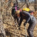 용암태양광발전소 이미지