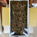 종삼농장 이미지