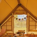 스테이 담아 이미지