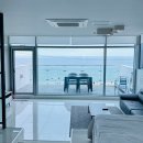 파니아토 이미지