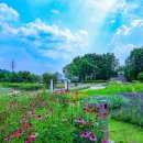 천문공원 이미지