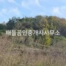 신지공인중개사사무소 이미지
