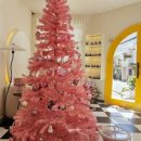 레스트스파 이미지