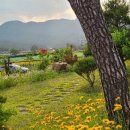 비갠숲민박 이미지