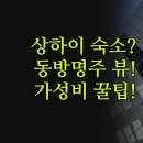 동방헬스다인(주) | 동방명주 뷰 가성비 | 유리호텔 다인 호스텔까지 | 위치 가격 3곳 완벽 비교 정리 | 실제 후기 꿀팁 대방출