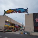 진짜일등수산 이미지