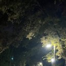 문화근린공원 인조잔디구장 이미지