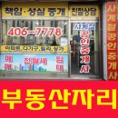 본오중학교 앞 횡단보도 이미지