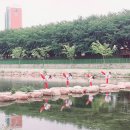 영일태권도장 이미지