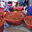 만년한우농장 이미지