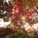 A GYM 용현점 이미지