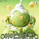 멜론 소프트 이미지