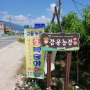 갑을농장 이미지