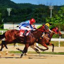 경마공원 이미지
