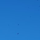 써니힐글램핑 이미지