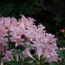 운대2리 이미지