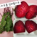 비트 수확, 미술놀이 이미지
