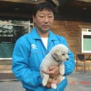 우리카포스