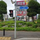 231 로컬세계