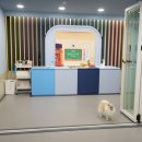 서초빌딩2 | 옐레드 서초교대역점 방문 후기 서초 강아지유치원 체험기