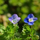 전곡산단로 이미지