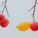 싱그러운청도로(가을) 이미지