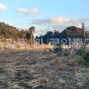 스프링데일 리조트 인근 이미지