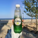 GS25송지호해변점