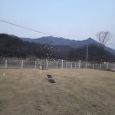 방배천로4길 15-18 | 단양 애견펜션 세모하우스, 직접 가보고 느낀 솔직 후기