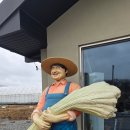 흥덕상회 | 소로리 쌀상회 청주 옥산 맛집 밀가루 없는 건강하고 쫄깃한 소금빵 맛집