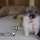 개편한카페 이미지