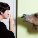 윤광고
