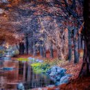 원천공원 이미지