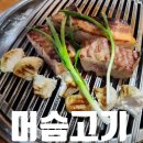 머슴고기연구소