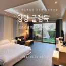 글램독 양양 이미지