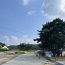 씨유 대천항점 | 대천 애견동반 해씨유캠핑장 솔직후기!! (22.10.5~6)