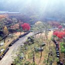 오르다온펜션 이미지