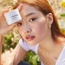 와이즈앤영
