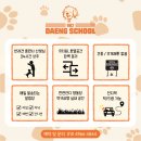 902댕스쿨