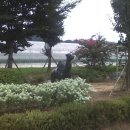 길곡초등학교 이미지