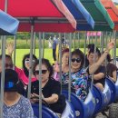 철원고석정꽃축제 이미지