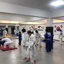 용인대 유도센터 이미지